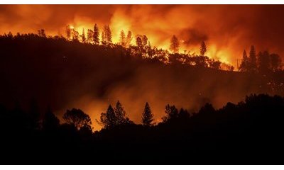 Photo Forest fires as an environmental problem