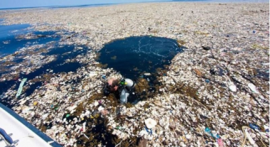 Photo Environmental pollution - Why we must protect the environment