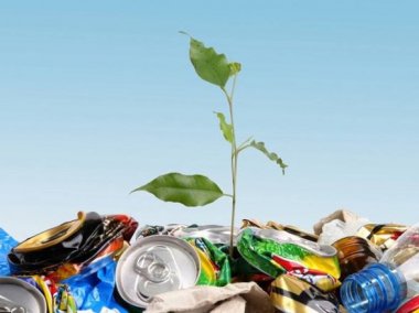 Photo What is Waste Recycling?