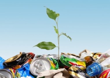 Фото Что такое утилизация отходов?