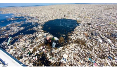 Фотографія Забруднення довкілля - Чому треба берегти екологію