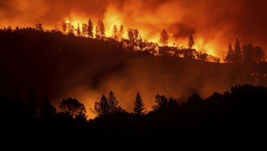 Фотографія Лісові пожежі як екологічна проблема